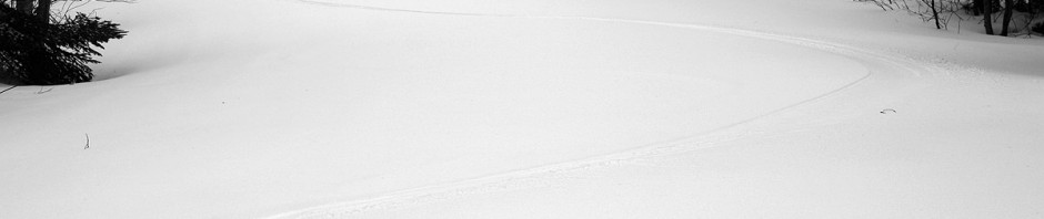 Picture of ski tracks in the powder on Lower Turnpike