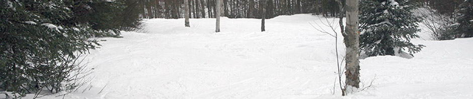 An image of the Glades trail at Bolton Valley Ski Resort in Vermont with packed powder conditions after some recent snowstorms