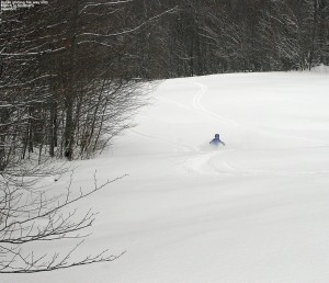 An image of Dylan skiing an expanse of powder on the Spell Binder Trail at Bolton Valley Ski Resort in Vermont