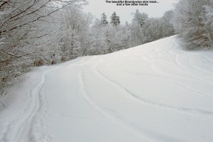 An image of the Brandywine trail at Bolton Valley Ski Resort in Vermont with a skin track and ski tracks in powder
