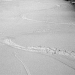 An image showing ski tracks on the Brandywine Trail at Bolton Valley Resort in Vermont