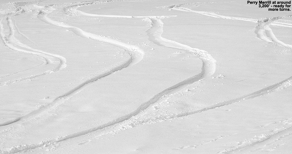 An image of ski tracks in powder on the Perry Merrill trail at Stowe Mountain Resort in Vermont after an October snowstorm