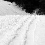 An image of a skin track in a couple inches of snow on the Toll Road at Stowe Mountain Ski Resort in Vermont