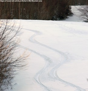 An image of ski tracks in the Mid Mountain area of Bolton Valley Resort in Vermont after an April snowstorm
