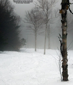An image of the Glades trail at Bolton Valley Ski Resort in Vermont