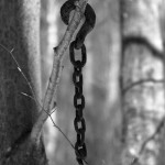An image showing an old chain on a hook hanging from a tree along a backcountry skin track in the Nebraska Valley area of Vermont
