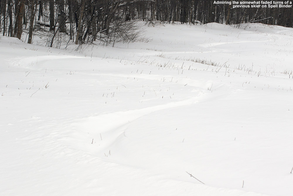 An image of ski tracks in powder snow on the Spell Binder trail at Bolton Valley Ski Resort in Vermont