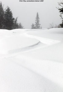 An image if a ski track in powder snow on the Chin Clip trail at Stowe Mountain Resort in Vermont