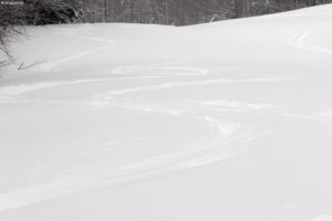 An image of ski tracks in powder snow on the Brandywine trail at Bolton Valley Ski Resort in Vermont
