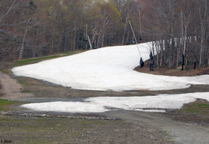 An image of the snow at the bottom of the Standard trail in mid-May at Stowe Mountain Ski Resort in Vermont