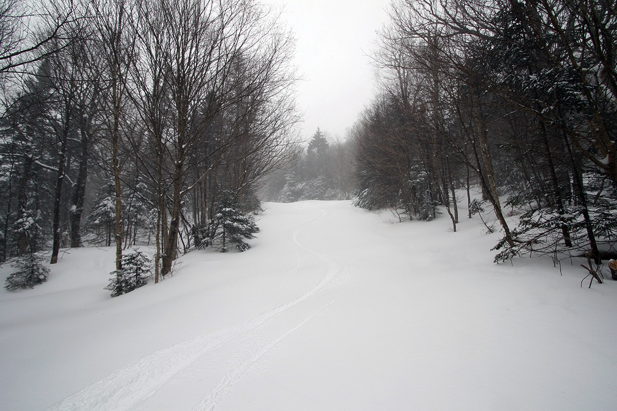 An image of ski tracks in powder snow during Winter Storm Quinlan at Bolton Valley Ski Resort in Vermont