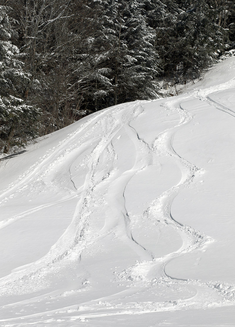 An image of ski tracks in fresh snow from an early April snowstorm at Bolton Valley Ski Resort in Vermont