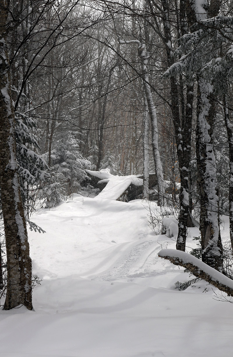 An image of a bike ramp in the Wilderness Woods area of Bolton Valley Ski Resort in Vermont