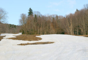 An image of the Sherman's Pass trail area near the end of the ski season at Bolton Valley Ski Resort in Vermont