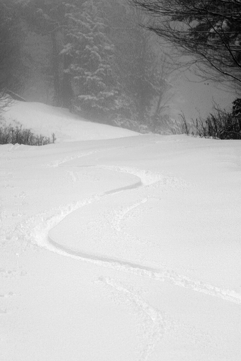 An image of ski tracks in fresh powder snow from a winter storm in November at Bolton Valley Ski Resort in Vermont
