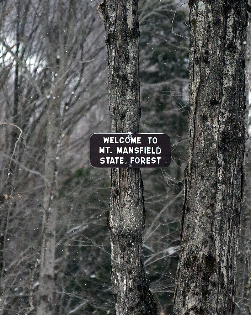 An image of the Mt. Mansfield State Forest sign on the Broadway trail entering the Nordic and Backcountry Network at Bolton Valley Ski Resort in Vermont