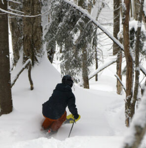 An image of Ty skiing in the trees near Snow Hole at Bolton Valley Ski Resort in Vermont