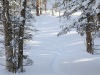 Leaving some tracks in the powder while dropping down out terrain near the Devil's Drop area on today's backcountry ski tour
