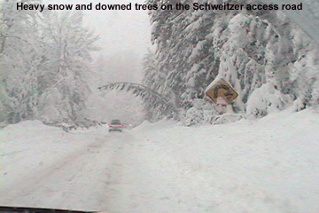 An image of the steep, twisty Schweitzer Mountain Road leading up to Schweitzer Mountain Ski Resort during a big Pacific winter storm - a tree is shown bending into the road near one of the switchbacks due to the heavy snow