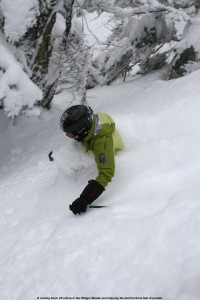 An image of Erica skiing in neck deep snow in the Villager Trees area of Bolton Valley Ski Resort in Vermont