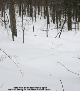 An image of a tree skiing area above the Monroe Trail on Camel's Hump in Vermont