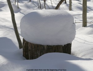 An image of a stack of powder snow atop a stump along the Burrows Trail leading up to Camel's Hump in Vermont