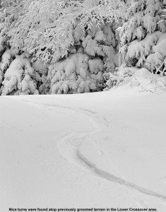 An image of ski tracks in powder