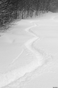 An image of deep trakcks in the snow from powder skiing at Bolton Valley