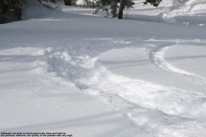 An image of a track from powder skiing in the Bolton Valley backcountry