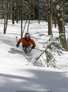 Ty skiing powder in the Villager Trees