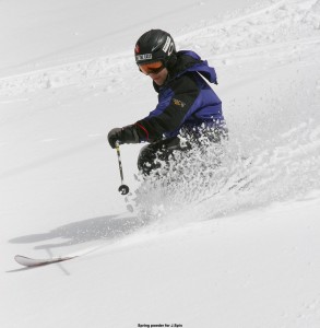 Jay skiing powder