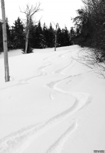 Image of track on the Glades trail at Bolton Valley