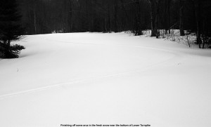 Picture of ski tracks in the powder on Lower Turnpike