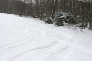 Image of tracks on the Lower Foxy trail