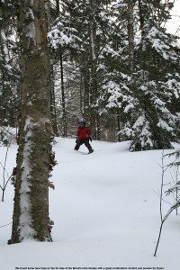 Image of Dylan skiing in the Wood's Hole Glades