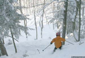 An image of Ty skiing in the Wood's Hole Glades at Bolton Valley