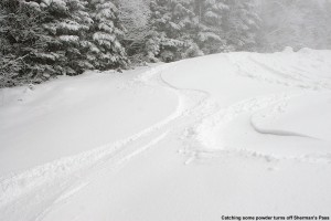 An image of ski tracks in the fresh powder along the edge of the Sherman's Pass Trail at Bolton Valley in Vermont - December 23, 2011