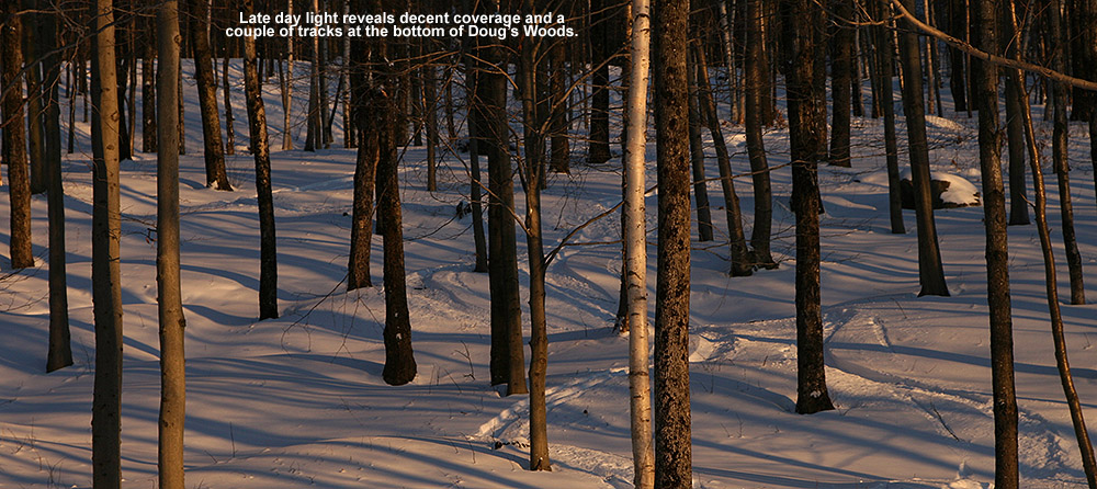 An image of late winter light illuminating ski tracks at the bottom of the "Doug's Woods" glade at Bolton Valley Ski Area in Vermont