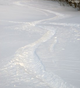 An image of ski tracks in nice powder snow on the Spell Binder trail at Bolton Valley Ski Resort in Vermont