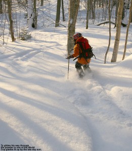 An image of Ty skiing a glade near the World Cup trail on the Nordic/backcountry network at Bolton Valley Ski Resort in Vermont