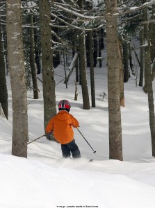 An image of Ty entering the Green Acres area of trees at Stowe Mountain Ski Resort in Vermont