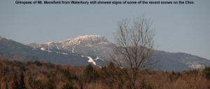 An image of recent snow in the alpine areas of the Chin on Mt. Mansfield in Vermont
