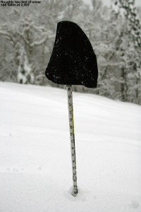 An image of my ski measurement pole showing a depth of roughly two feet at the 2,500' elevation on the Nosedive trail at Stowe Mountain Ski Resort in Vermont