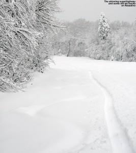 An image of a well-established skin track and some old ski tracks on the Nosedive trail at Stowe Mountain Resort in Vermont after a two foot dump of April snow