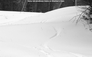 An image of old ski tracks on the Sherman's Pass ski trail at Bolton Valley Resort in Vermont after a November snowstorm
