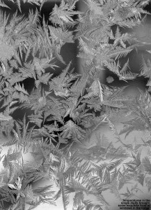 An image of intricate, feathery patterns of frost on one of the windows of the main base lodge at Bolton Valley Ski Resort in Vermont
