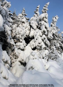 An image of snow on evergreens near the summit of the Fourrunner Quad at Stowe Mountain Ski Resort in Vermont