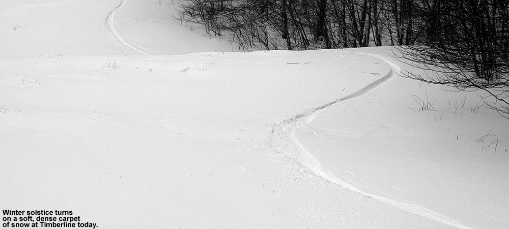 An image of ski tracks on dense powder at the Timberline area of Bolton Valley Ski Resort in Vermont