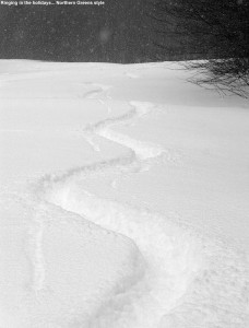 An image of ski tracks in powder on the Spell Binder trail at Bolton Valley Ski Resort in Vermont