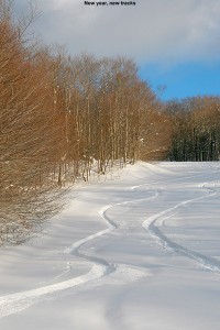 An image of ski tracks in powder on the Spell Binder trail at Bolton Valley Ski Resort in Vermont